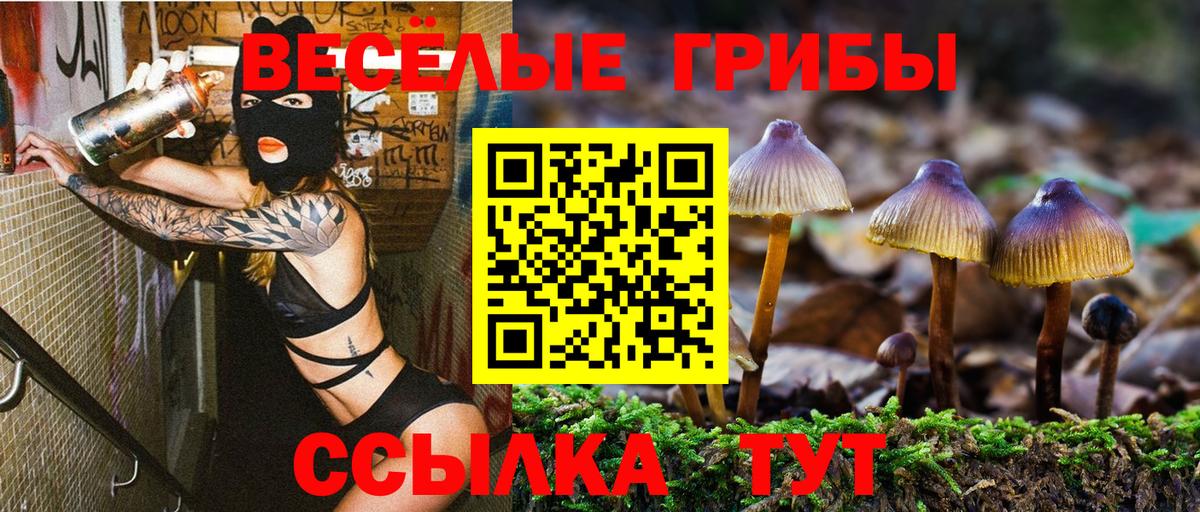 Псилоцибиновые грибы Cubensis Пенза